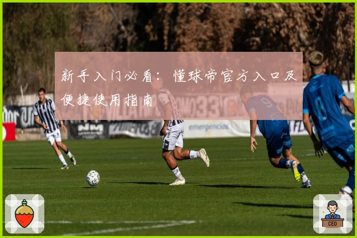新手入门必看：懂球帝官方入口及便捷使用指南