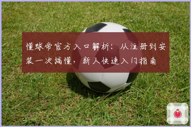 懂球帝官方入口解析：从注册到安装一次搞懂，新人快速入门指南