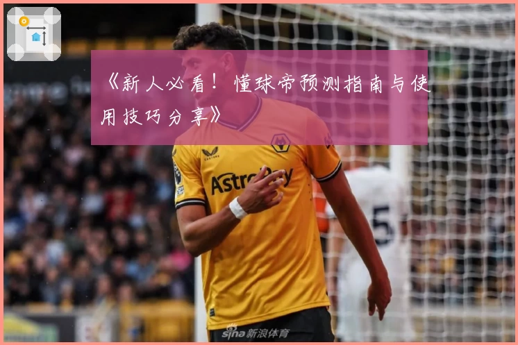 《新人必看！懂球帝预测指南与使用技巧分享》